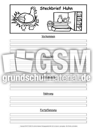 Steckbriefvorlage-Huhn.pdf